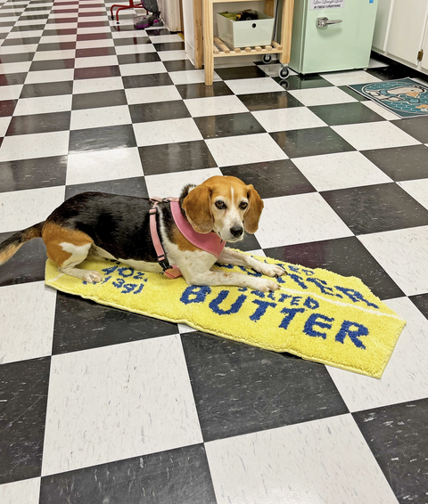 Butter Rug