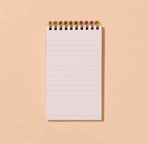 Aster Wildflower Pocket Notebook