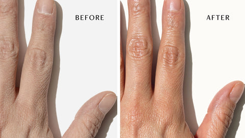 Original Moisturizing Botanical Lotion Bar