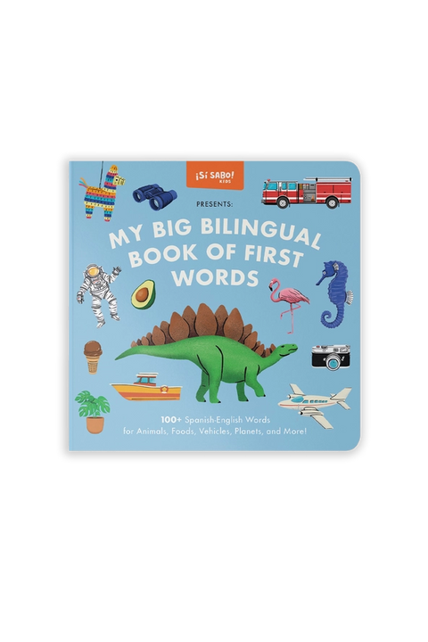 My Big Bilingual Book of First Words (English & Spanish)