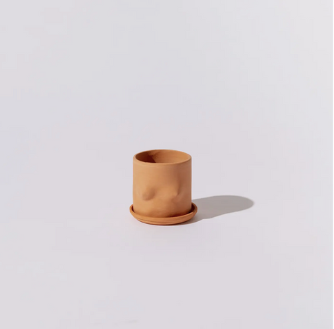 2.5" mini boob pot