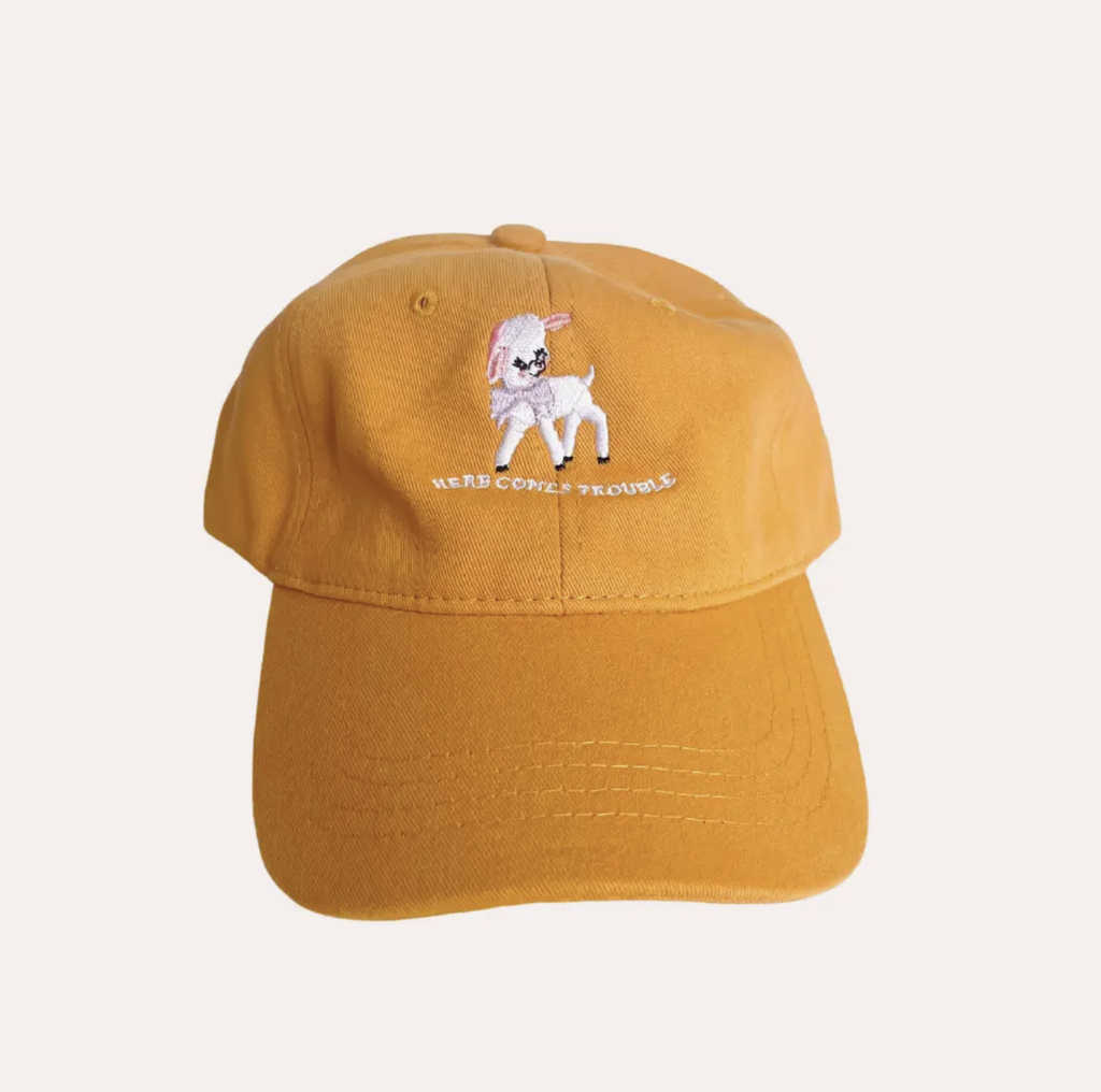 Here Comes Trouble Baseball Dad Hat