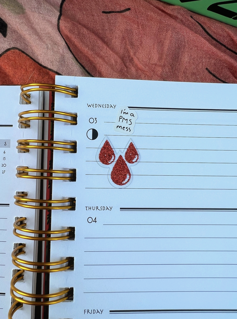 2024 Planner & Cycle Tracker
