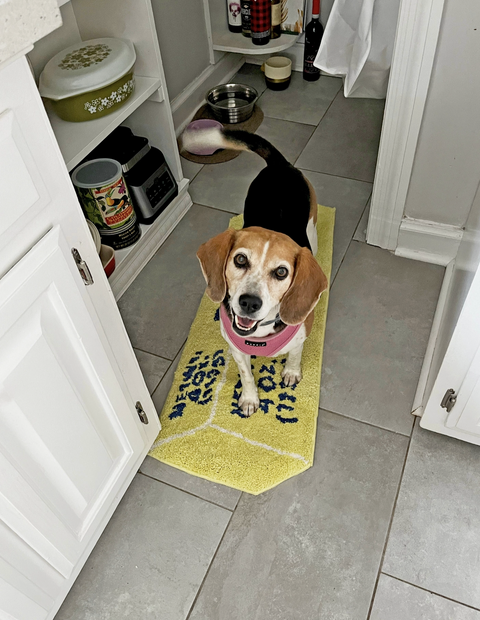 Butter Rug