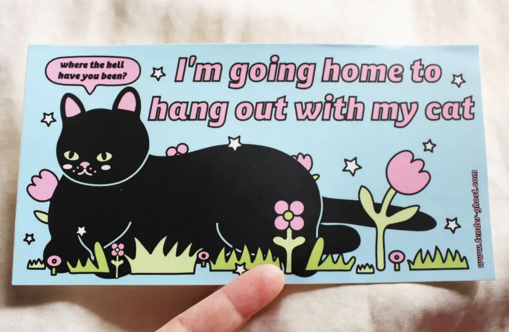 Hang Out with My Cat Bumper Sticker