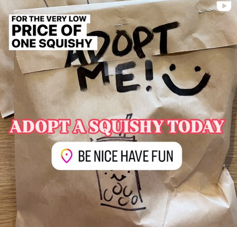 squishie adoption