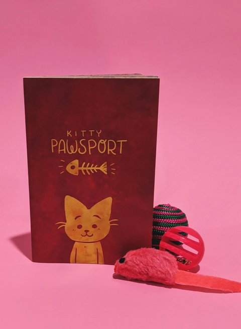 Kitty Pawsport Zine