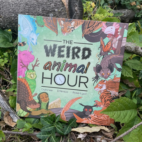 The Weird Animal Hour