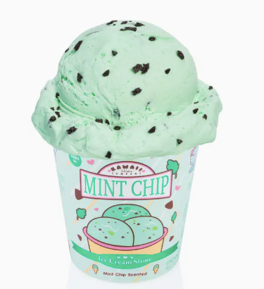 Mint Chip Scented Ice Cream Pint Slime