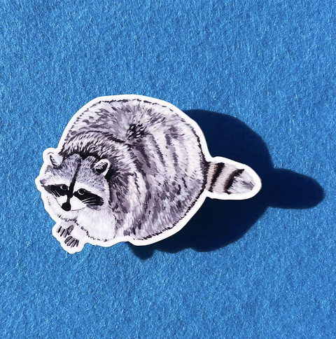 Raccoon Sticker