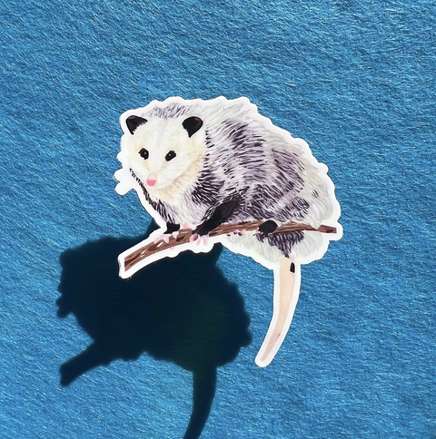 Opossum Sticker