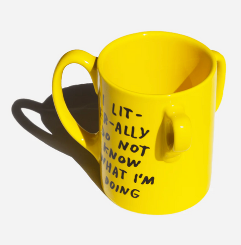 I Literally Do Not Know Mug x Adam JK