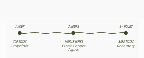 Paloma Negra Jar Candle