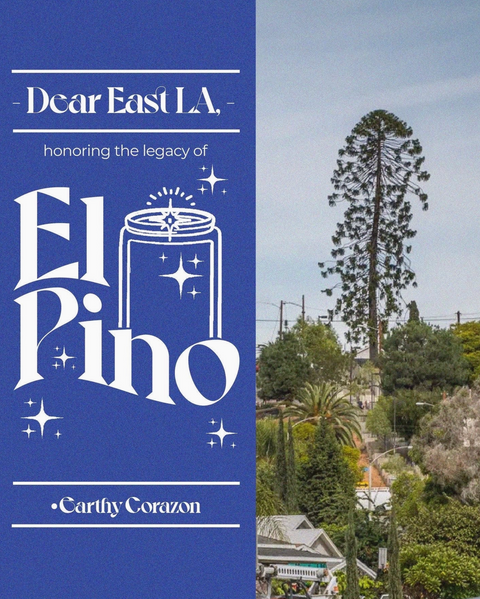 El Pino Candle - 12oz