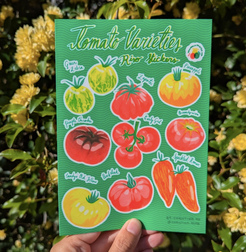 Heirloom Tomato Varieties Risograph Sticker Sheet | 5"x7" Waterproof Vinyl