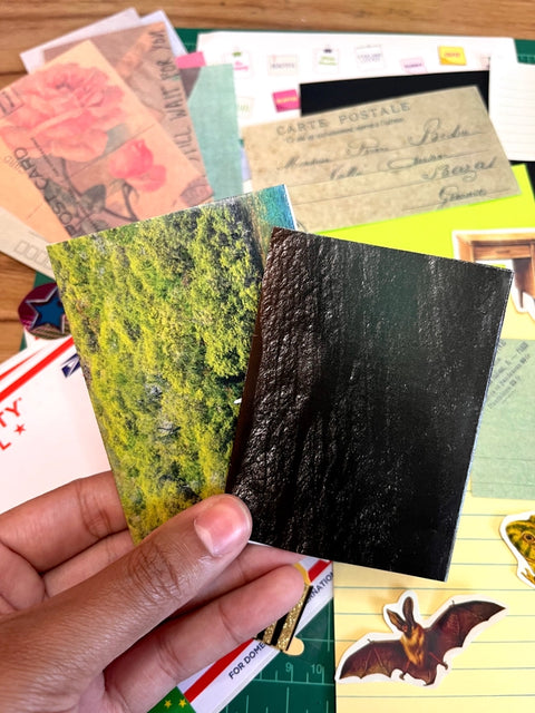 Zine Junk!
