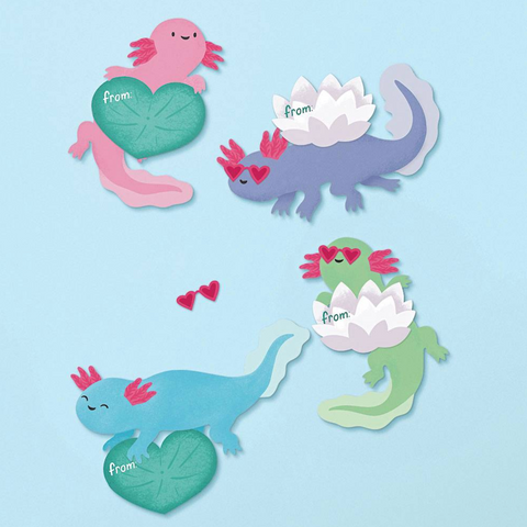 VDAY Axolotl Classroom Set (Set of 28)