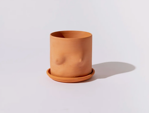 5" Terra-Cotta boob pot (With Saucer)