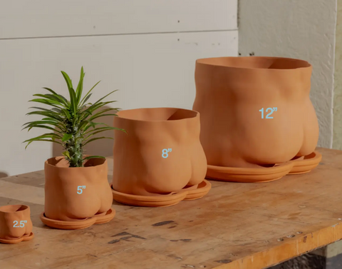 5" Terra-Cotta booty pot (With Saucer)